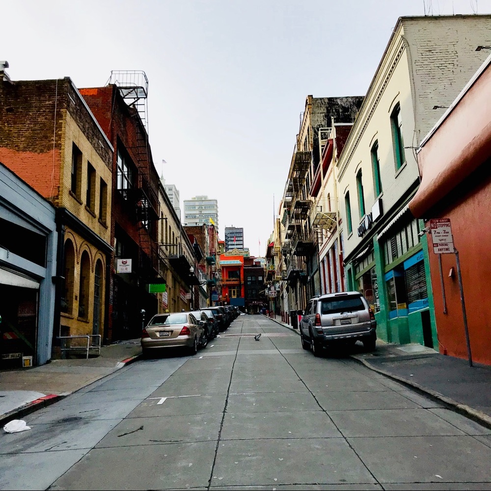 Meet your Posher, Josie